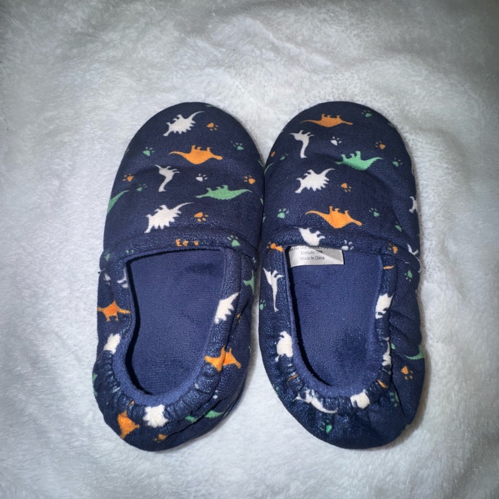 Dinosaur Print Slippers